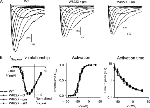 Figure 3