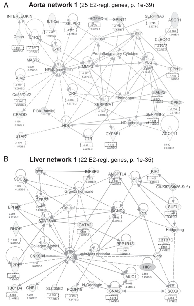 Figure 5.