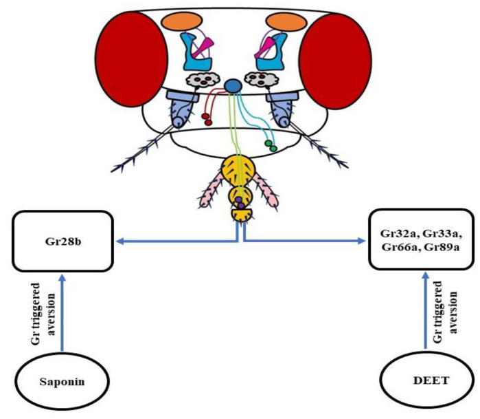 Figure 10