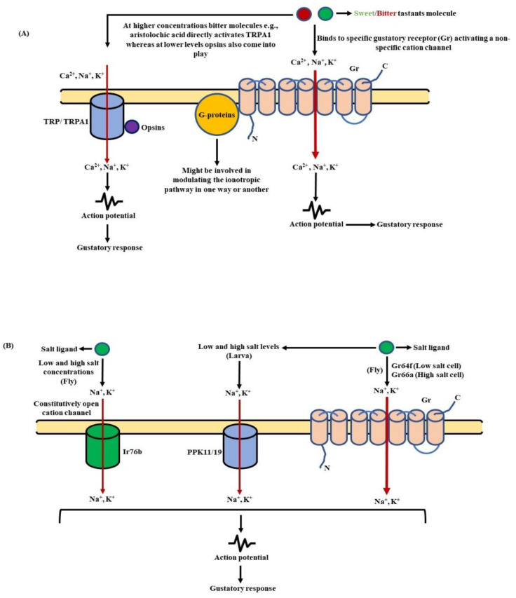 Figure 9