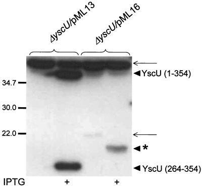 FIG. 7.