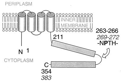 FIG. 1.