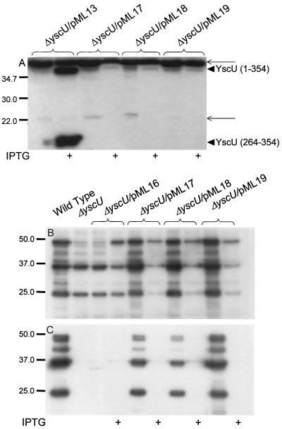 FIG. 8.