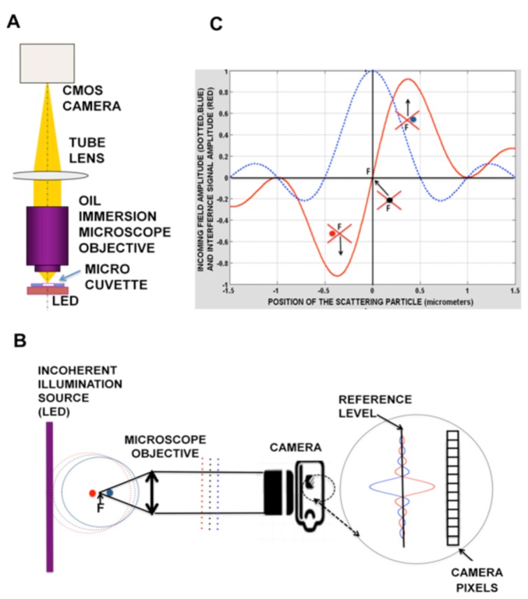 Fig. 1