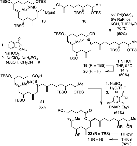 Scheme 4.