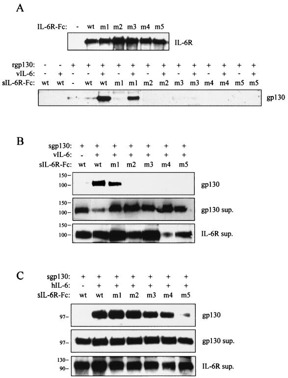 FIG. 6.