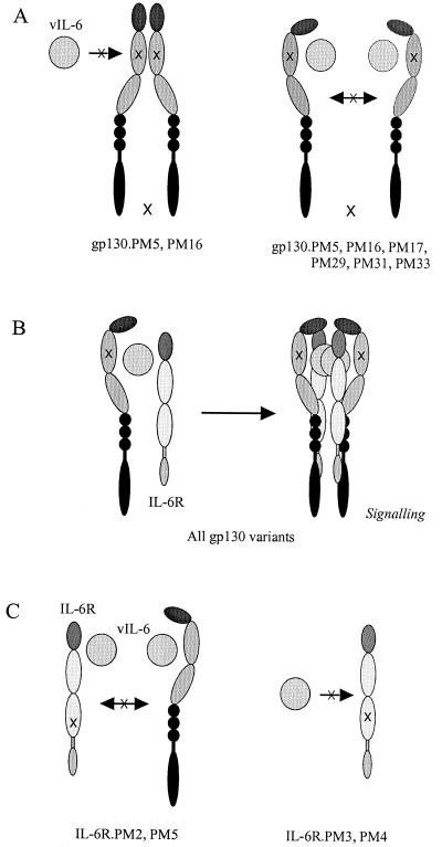 FIG. 7.