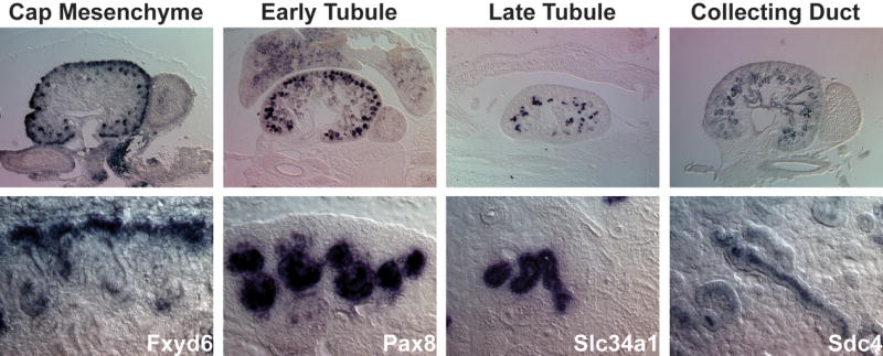 FIG. 6