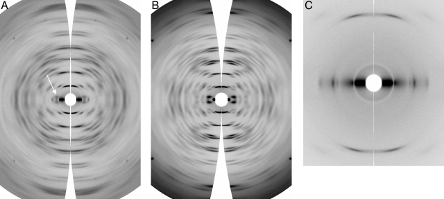 FIG. 2.