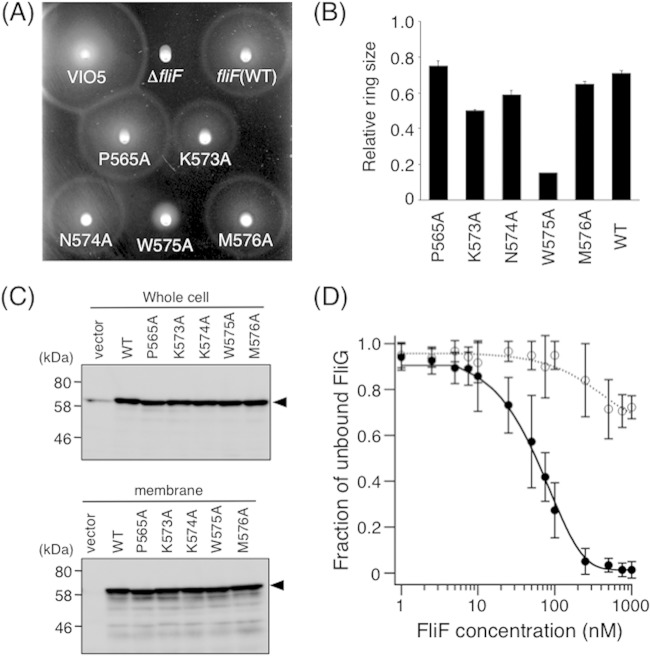 FIG 6