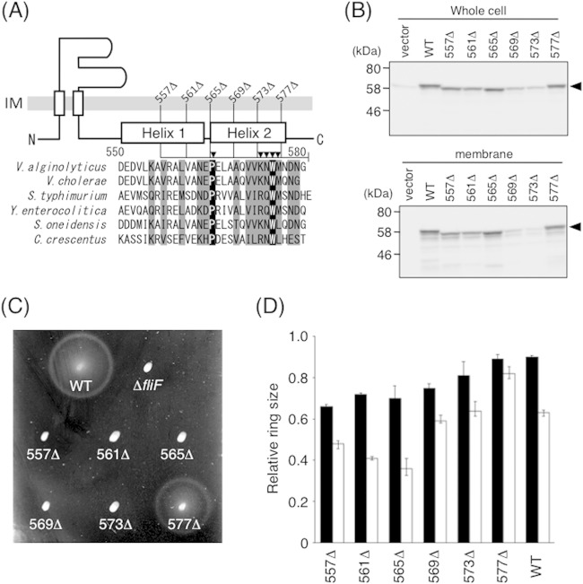 FIG 4