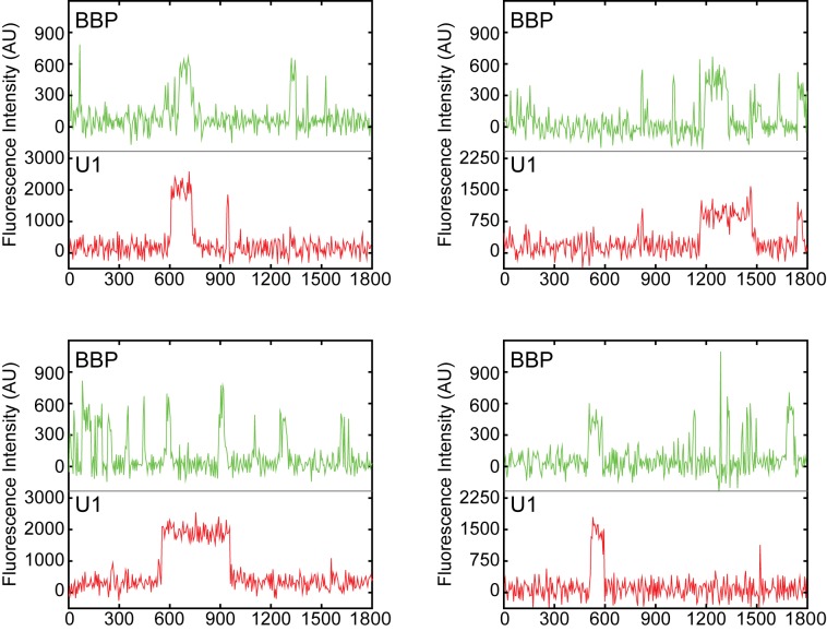 Figure 3—figure supplement 3.