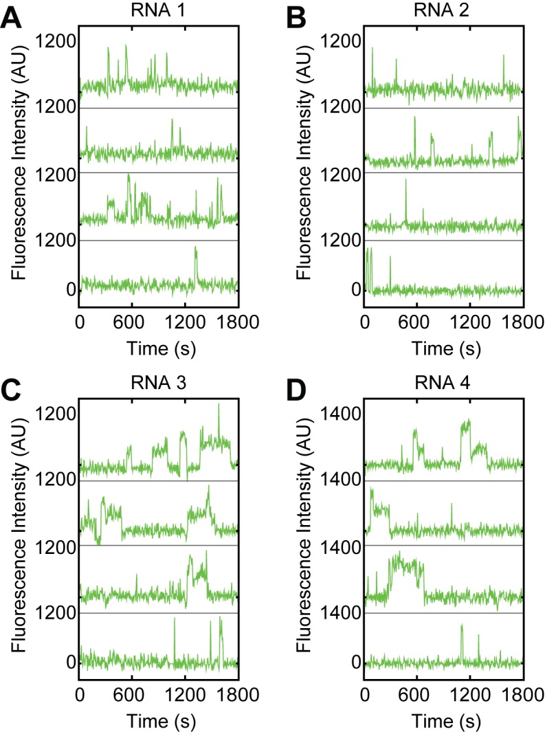 Figure 1—figure supplement 1.