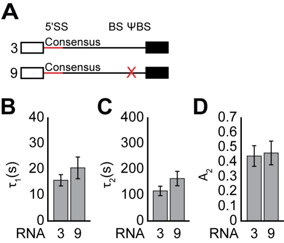 Figure 3—figure supplement 5.