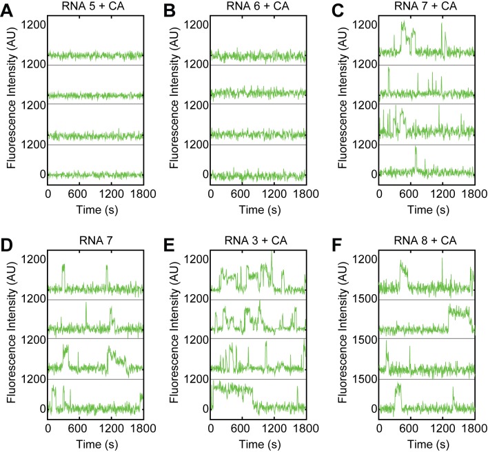 Figure 2—figure supplement 2.