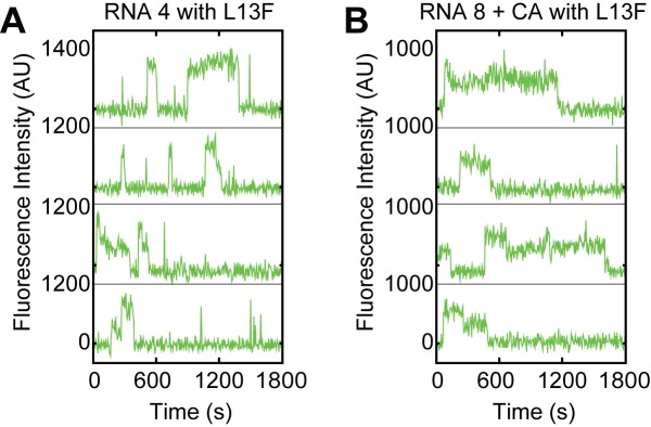 Figure 5—figure supplement 1.