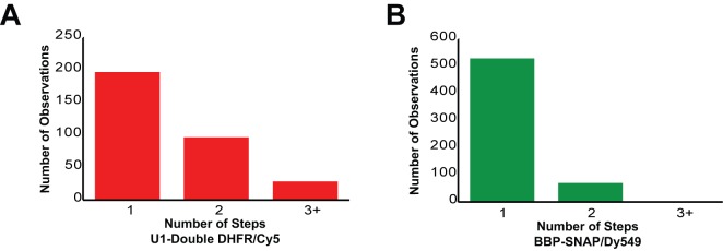 Figure 3—figure supplement 7.