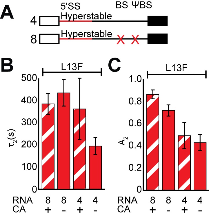 Figure 5—figure supplement 2.