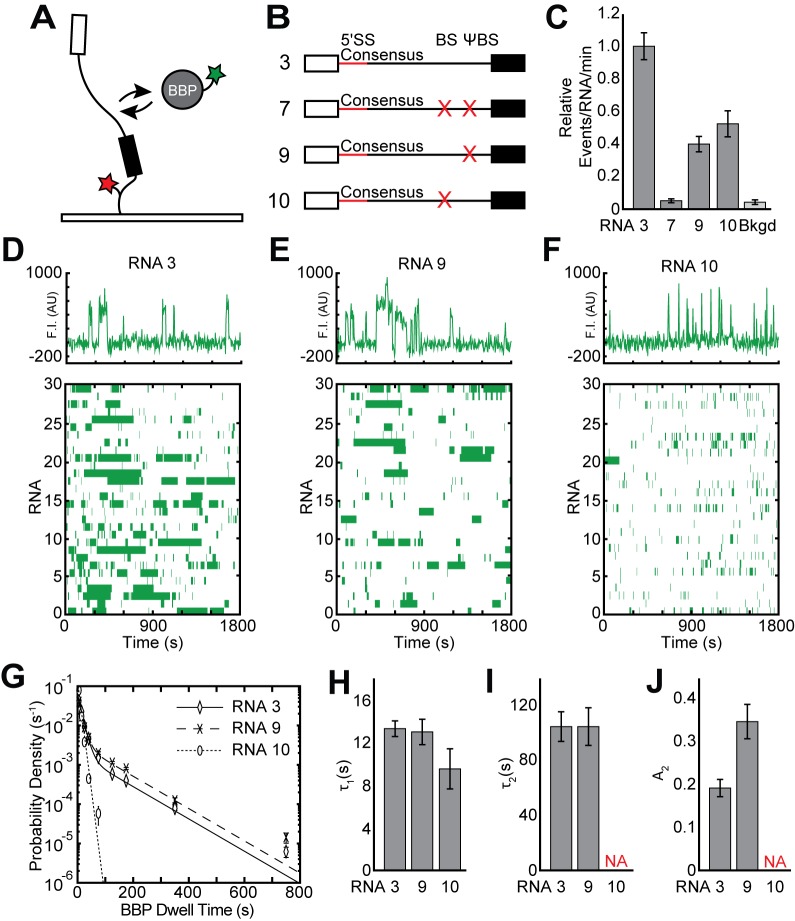 Figure 2—figure supplement 1.