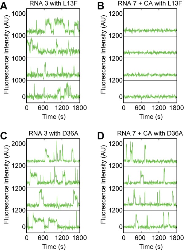 Figure 4—figure supplement 1.