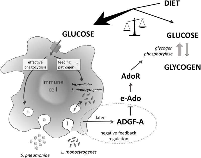 Fig 10