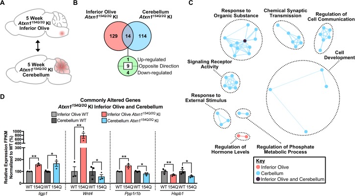 Figure 4—figure supplement 1.