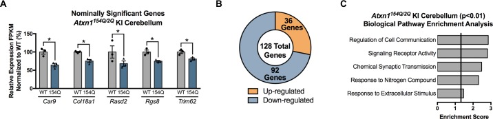 Figure 3—figure supplement 3.