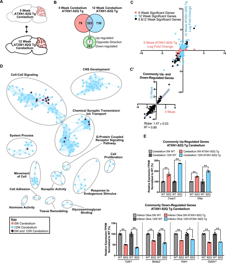 Figure 6—figure supplement 3.