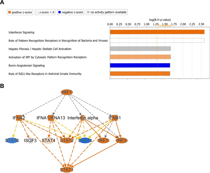 Figure 2—figure supplement 2.