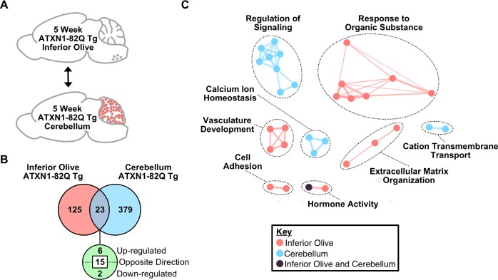 Figure 6—figure supplement 4.