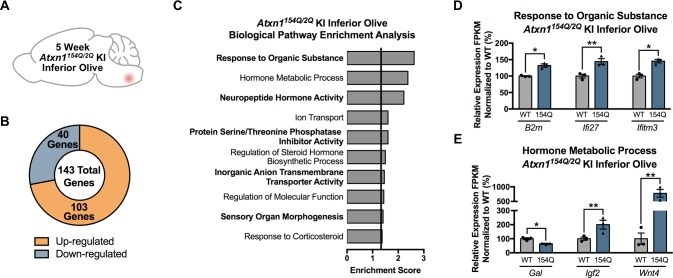 Figure 2—figure supplement 1.