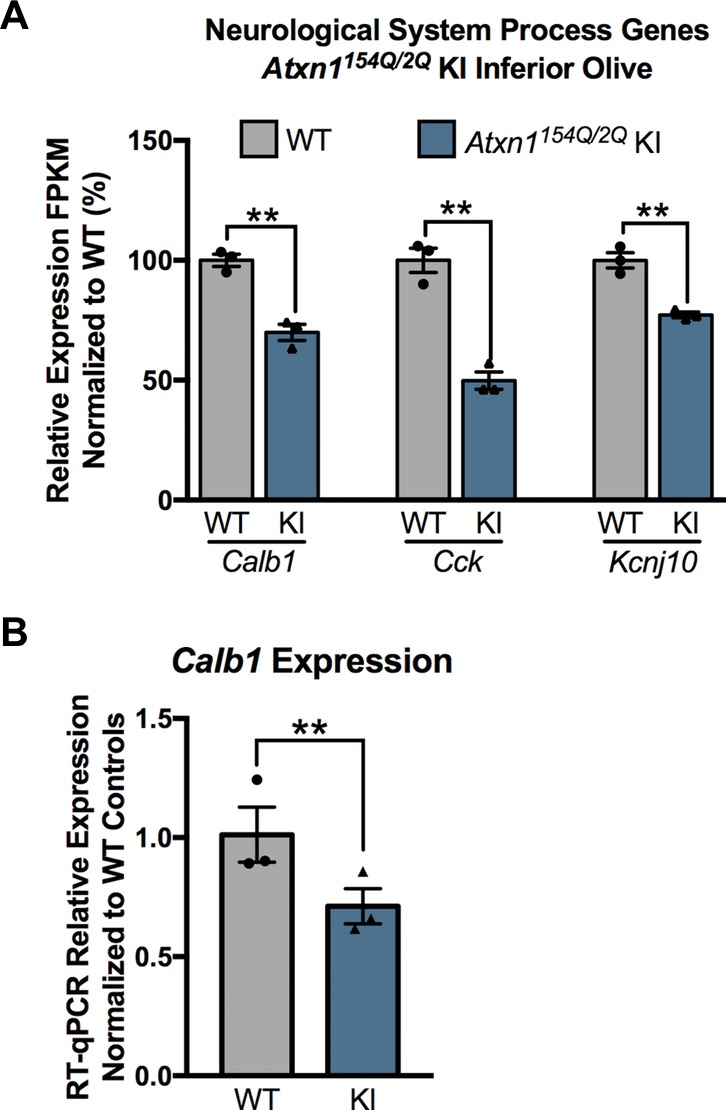 Figure 2—figure supplement 3.