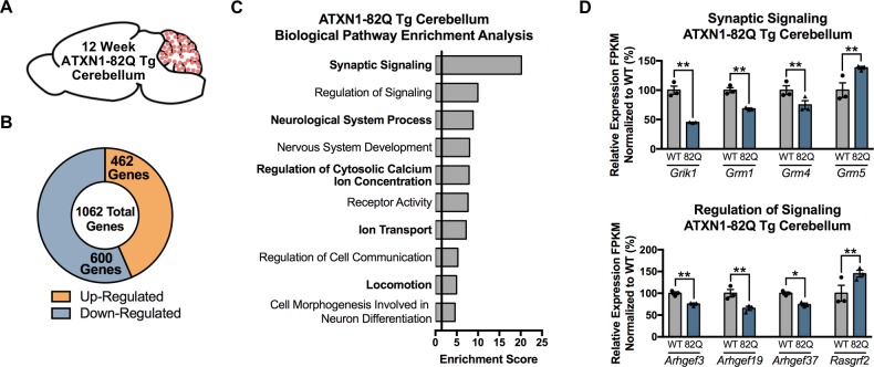 Figure 6—figure supplement 2.