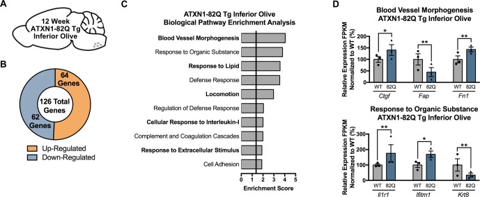 Figure 5—figure supplement 2.