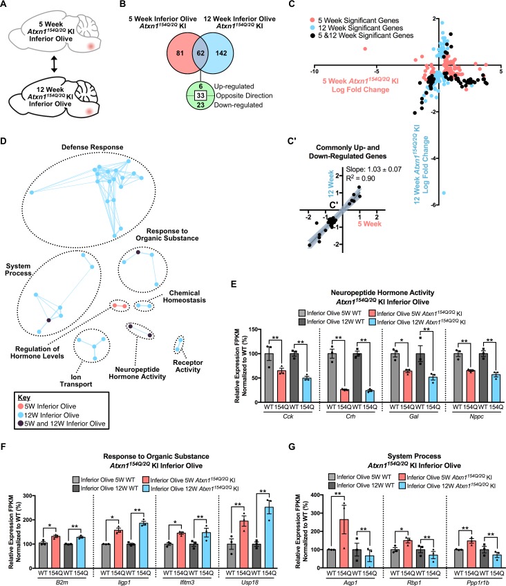 Figure 2—figure supplement 4.