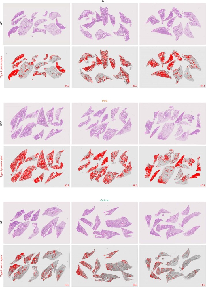 Extended Data Fig. 8