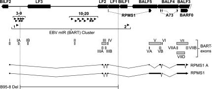 FIGURE 10.