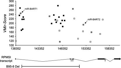 FIGURE 7.