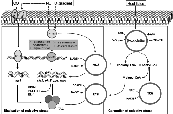 FIG. 7.