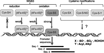 FIG. 6.