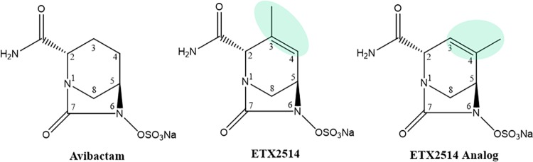 FIG 1