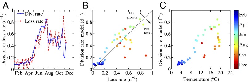 Fig. 5.