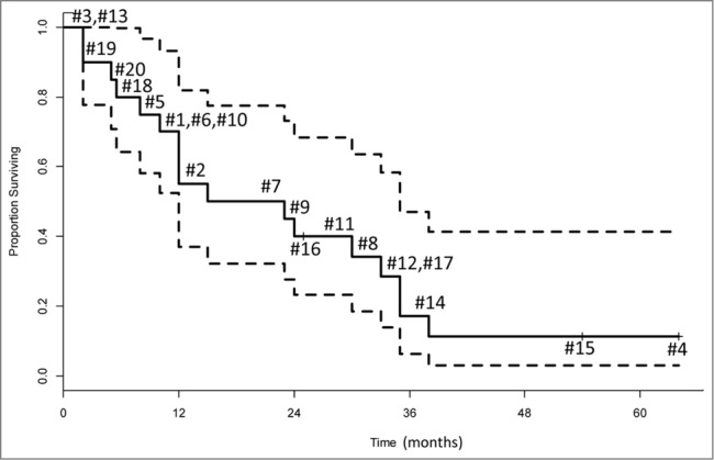 Figure 5.