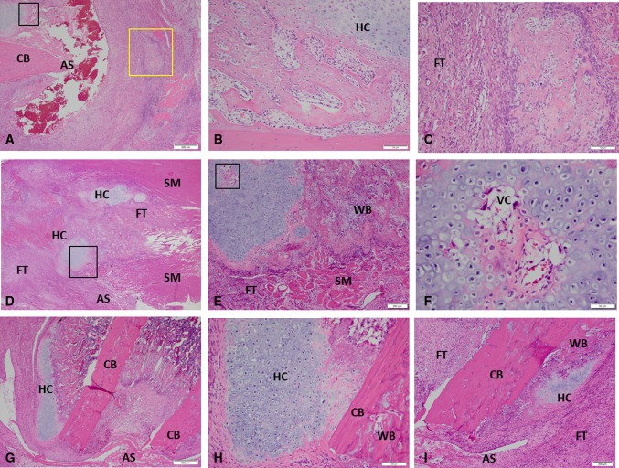 Fig. 2A–I