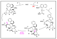Scheme 4