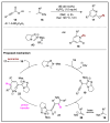 Scheme 6
