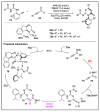 Scheme 13