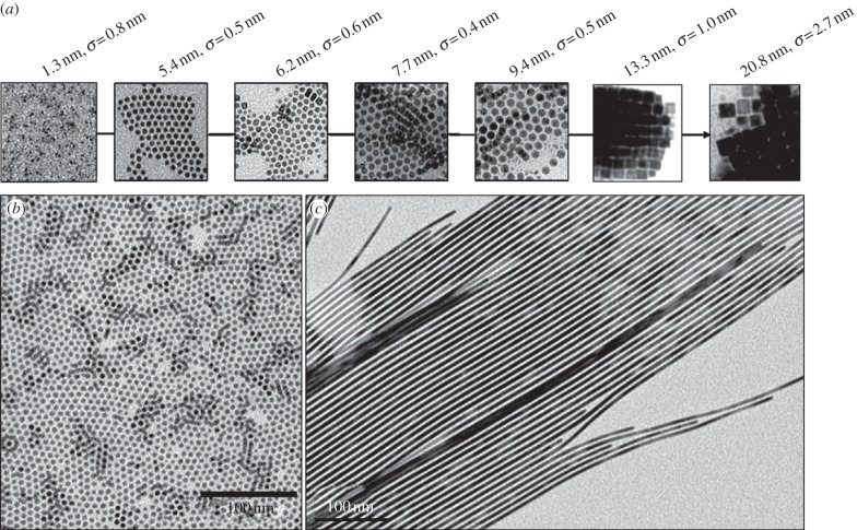 Figure 4.