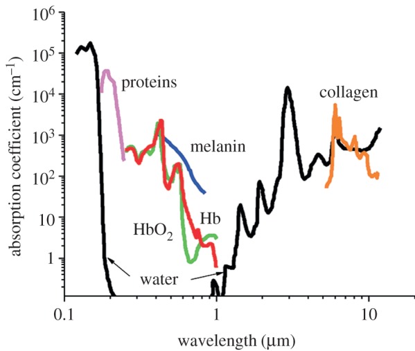 Figure 5.