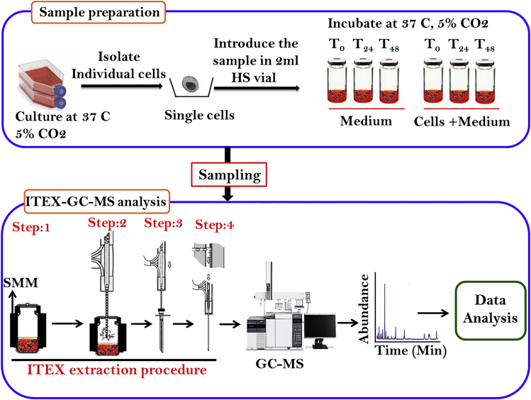 Figure 2